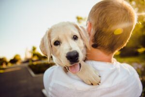 犬　家族　ハグ　好き　笑顔