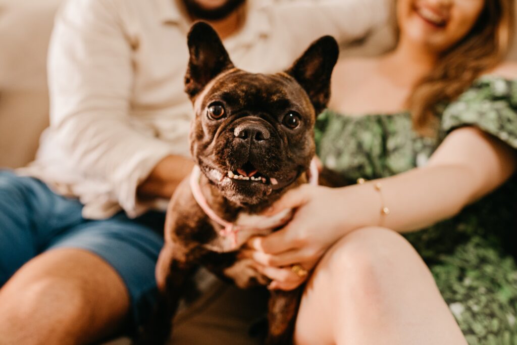 犬　家族　好き　仲良し　笑顔