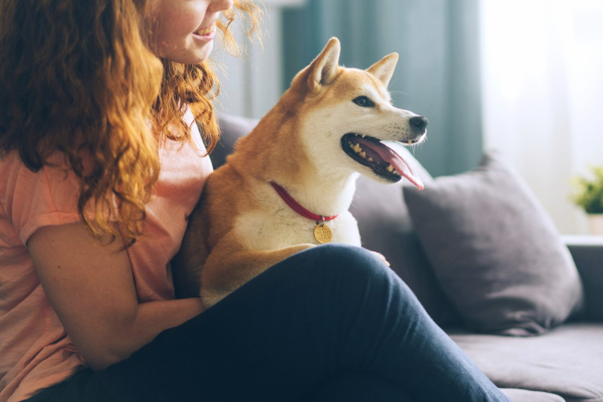 犬　家族　飼い主　背中　くっつける　好き　仕草